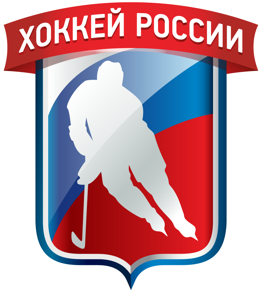 Russia 2016-Pres Partial Logo v2 iron on heat transfer